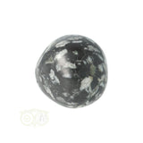 Chrysanthemum geronde trommelsteen nr 21