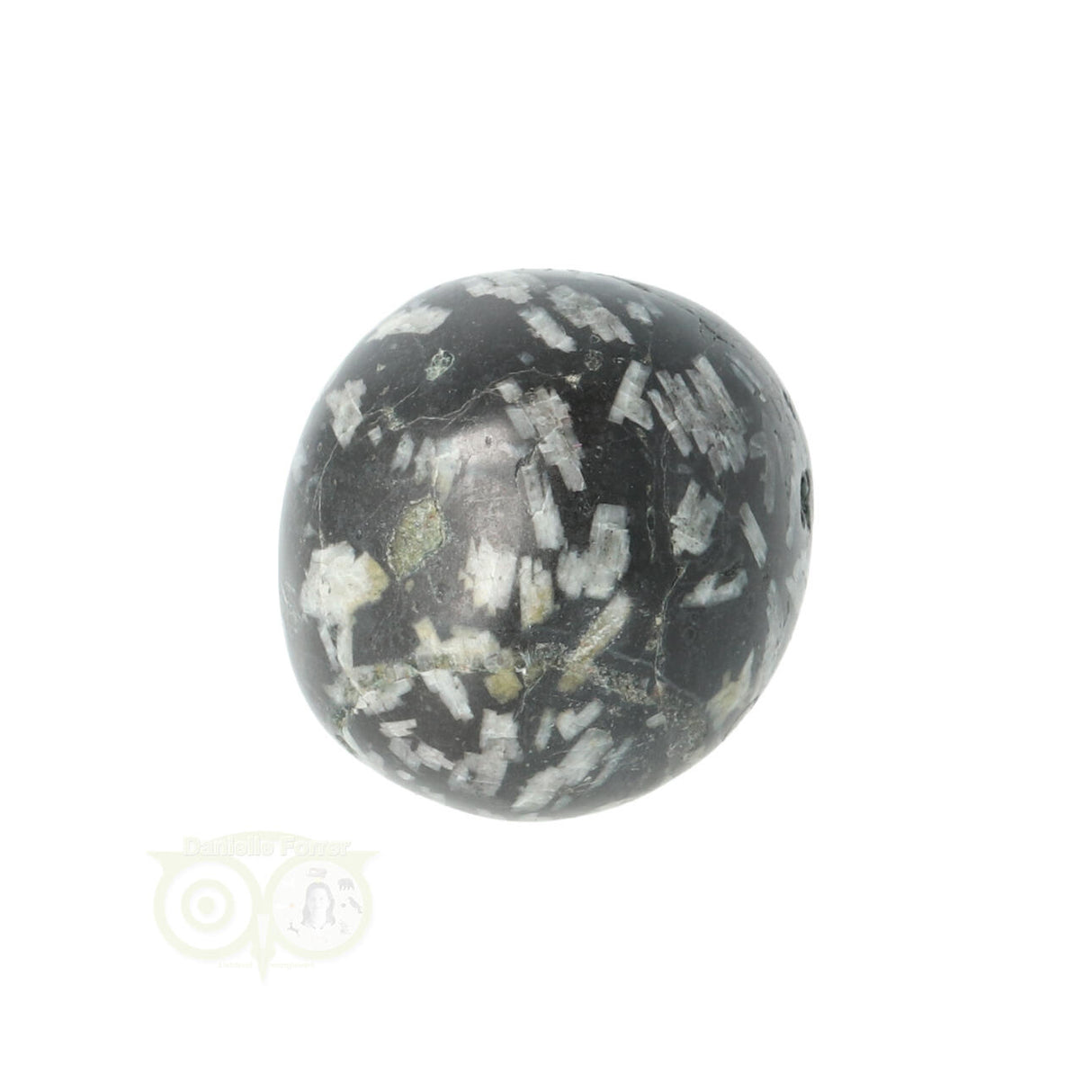 Chrysanthemum geronde trommelsteen nr 21