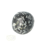 Chrysanthemum geronde trommelsteen nr 21