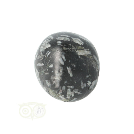 Chrysanthemum geronde trommelsteen nr 21