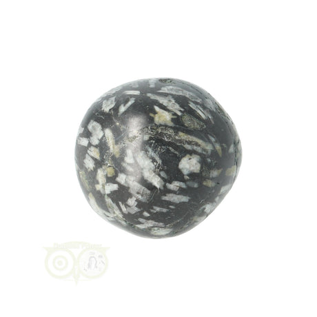 Chrysanthemum knuffelsteen Flower Stone rustgevende energie steen