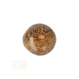 Coquina Jasper tumbled stone No. 17
