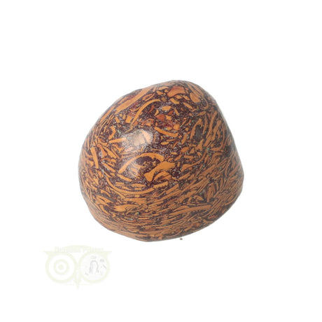 Coquina Jasper tumbled stone No. 9