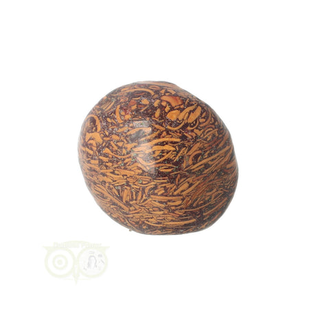 Coquina Jasper tumbled stone No. 9