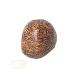 Coquina Jaspis trommelsteen Nr 9