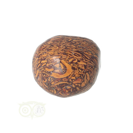 Coquina Jasper tumbled stone No. 9