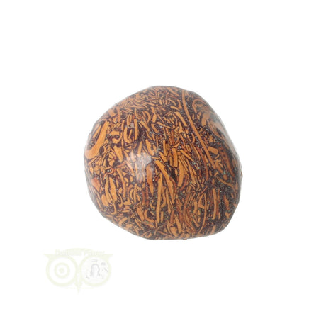 Coquina Jasper tumbled stone No. 9