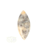 Crazy Lace Agaat Ovaal hanger nr. 14 - 11 gram | Edelsteen sieraad