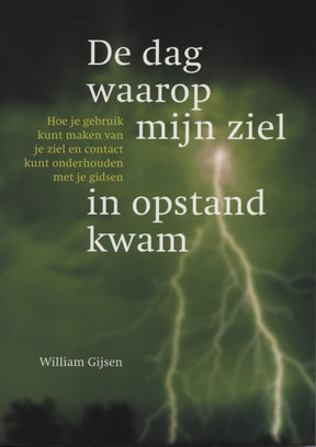 Voorkant boek De dag waarop mijn ziel in opstand kwam van William Gijsen – over zielcontact, gidsen en innerlijke leiding – 224 pagina's – Webshop Danielle Forrer
