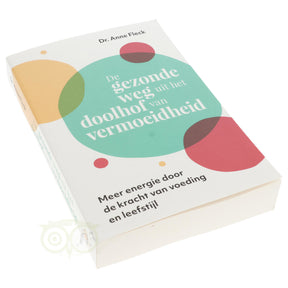 De gezonde weg uit het doolhof van vermoeidheid boek Anne Fleck