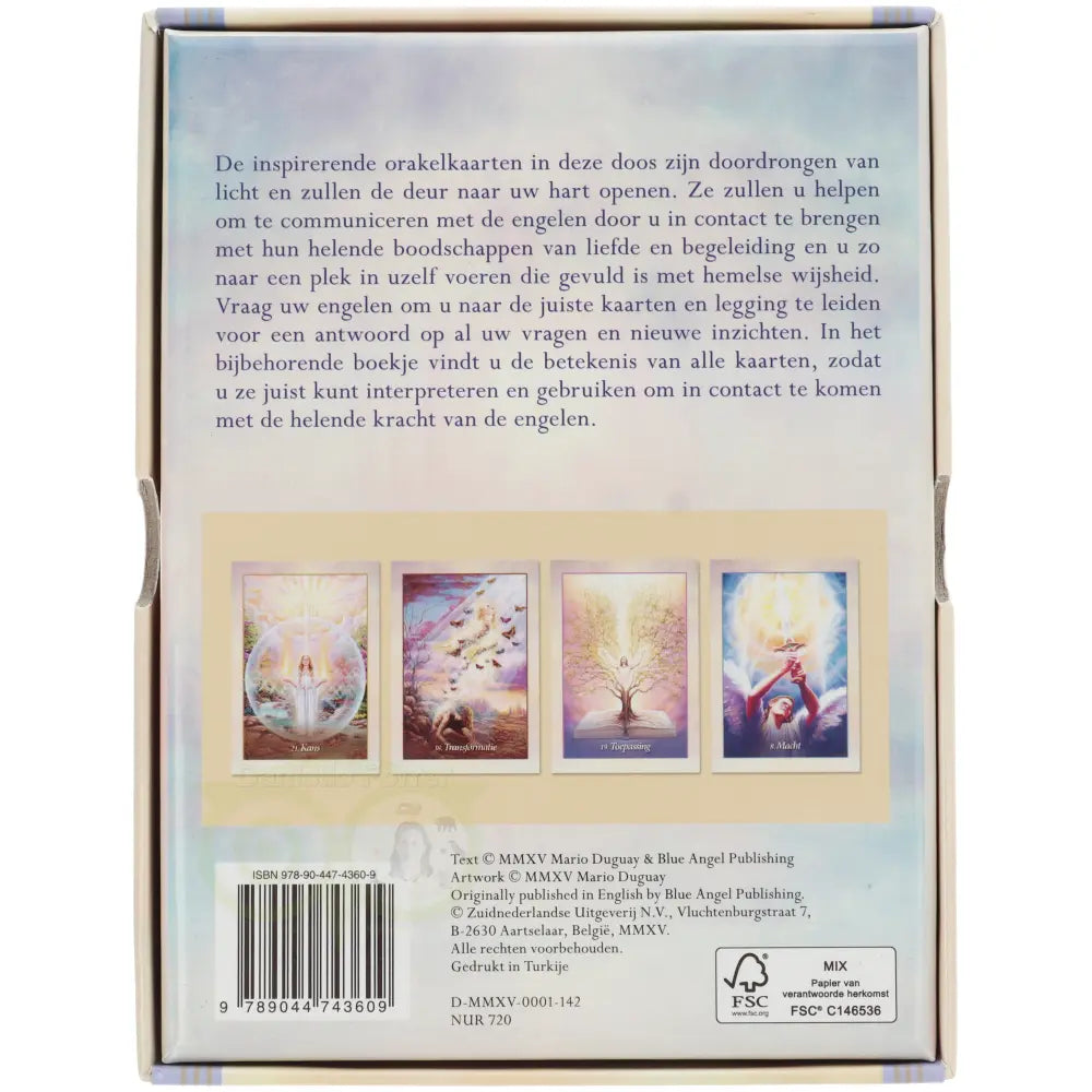 De helende kracht van engelen - Mario Deguay