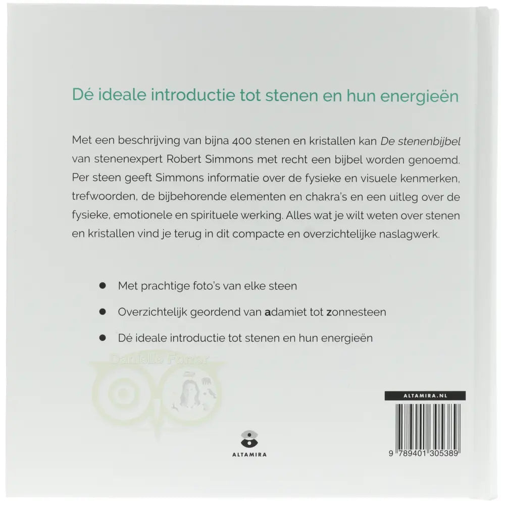 De Stenenbijbel - Robert Simmons