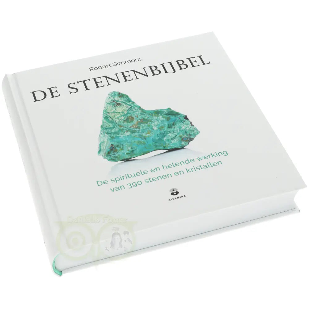 De Stenenbijbel - Robert Simmons
