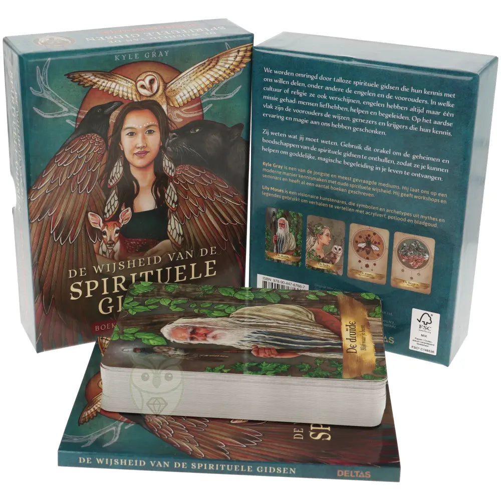 De wijsheid van de spirituele gidsen - Kyle Gray