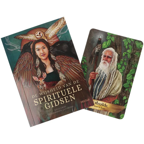 De wijsheid van spirituele gidsen orakelset