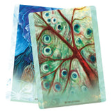 De wijsheid van het universum - Toni Carmine Salerno