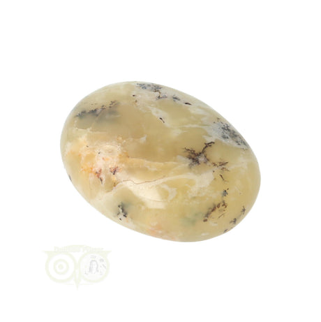 Dendrite Opal - Agate Hand Stone No. 23