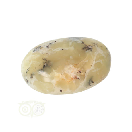 Dendrite Opal - Agate Hand Stone No. 23