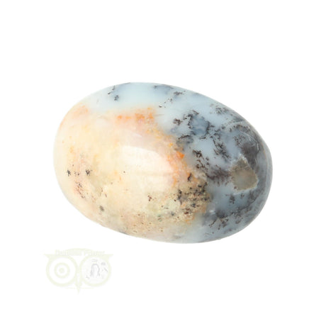 Dendrite Opal - Agate Hand Stone No. 29