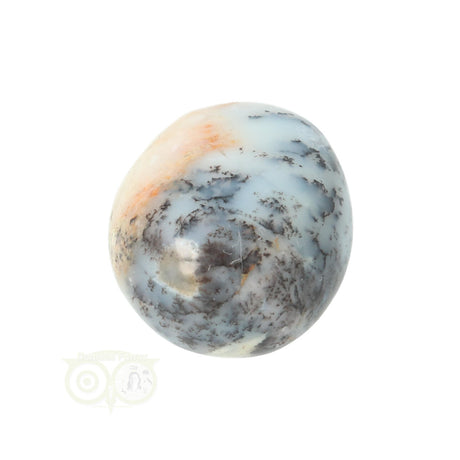 Dendrite Opal - Agate Hand Stone No. 29
