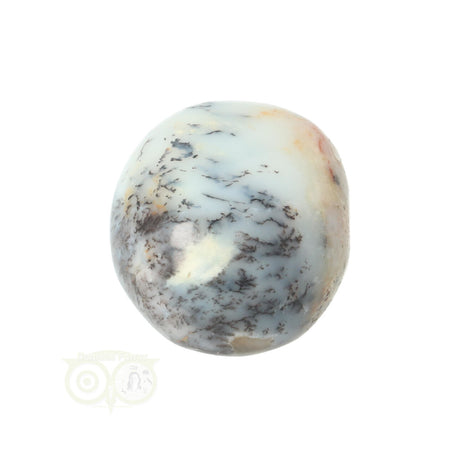 Dendrite Opal - Agate Hand Stone No. 29