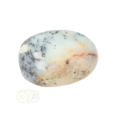 Dendrite Opal - Agate Hand Stone No. 29