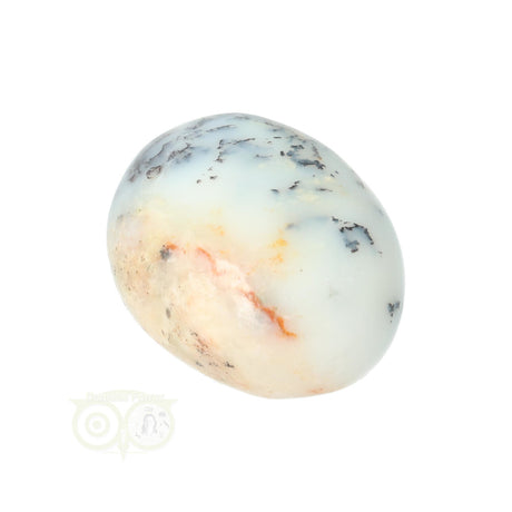 Dendrite Opal - Agate Hand Stone No. 29