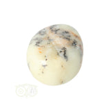 Dendriet Opaal - Agaat handsteen Nr 30