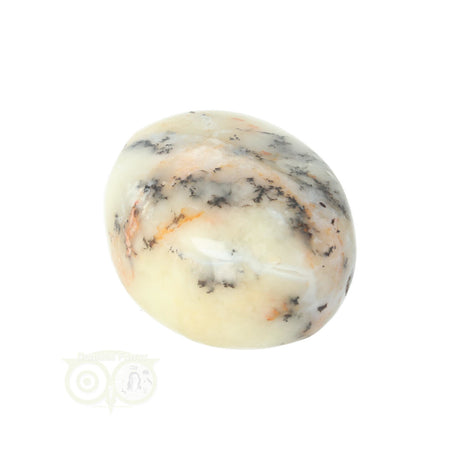 Dendrite Opal - Agate Hand Stone No. 30