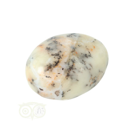 Dendrite Opal - Agate Hand Stone No. 30