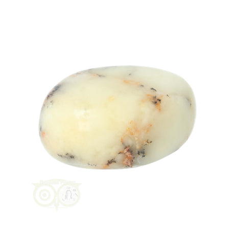 Dendrite Opal - Agate Hand Stone No. 30