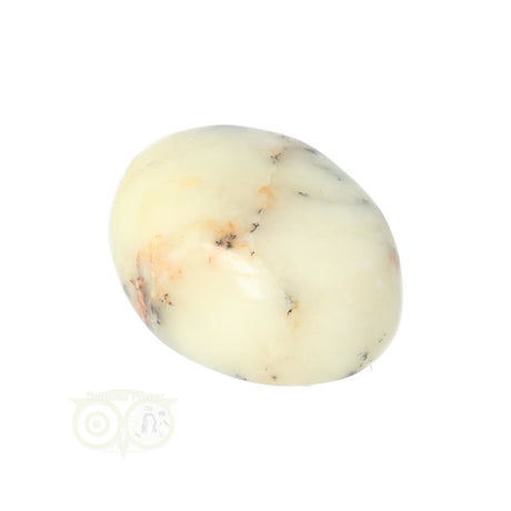 Dendrite Opal - Agate Hand Stone No. 30