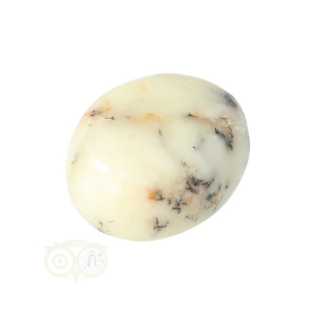 Dendrite Opal - Agate Hand Stone No. 30