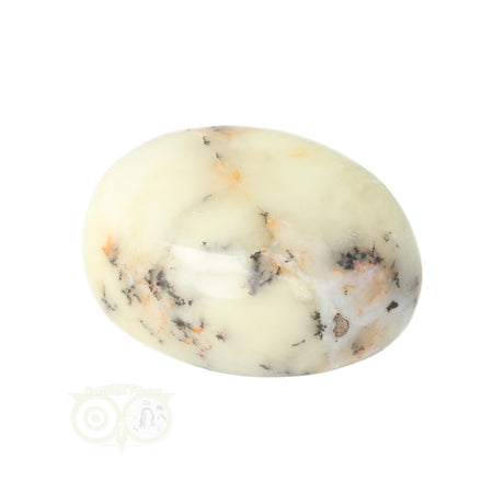 Dendrite Opal - Agate Hand Stone No. 30