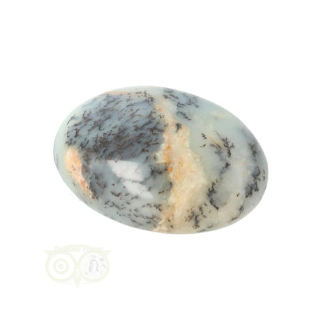 Dendrite Opal - Agate Hand Stone No. 31