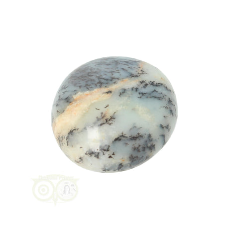 Dendrite Opal - Agate Hand Stone No. 31