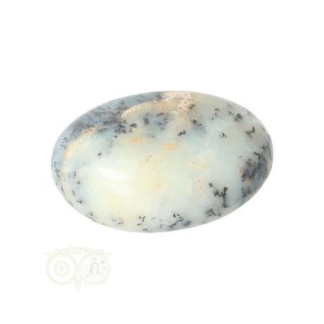 Dendrite Opal - Agate Hand Stone No. 31