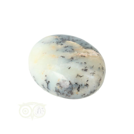 Dendrite Opal - Agate Hand Stone No. 31