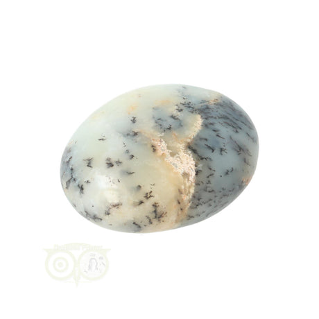 Dendrite Opal - Agate Hand Stone No. 31