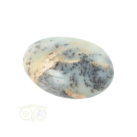 Dendrite Opal - Agate Hand Stone No. 31