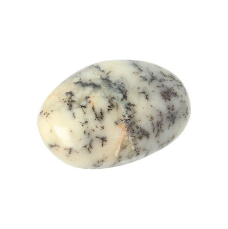 Dendriet Opaal Agaat handsteen Small Nr 19 van 18 gram