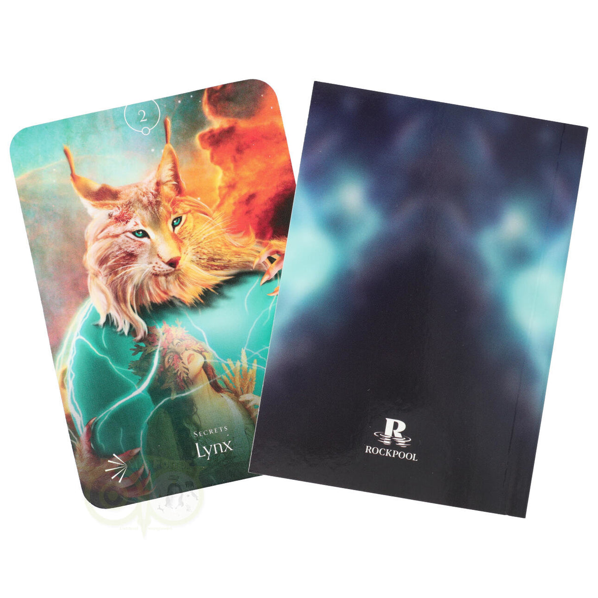 Divine Animals Oracle - Stacey Demarco (Engelse editie)