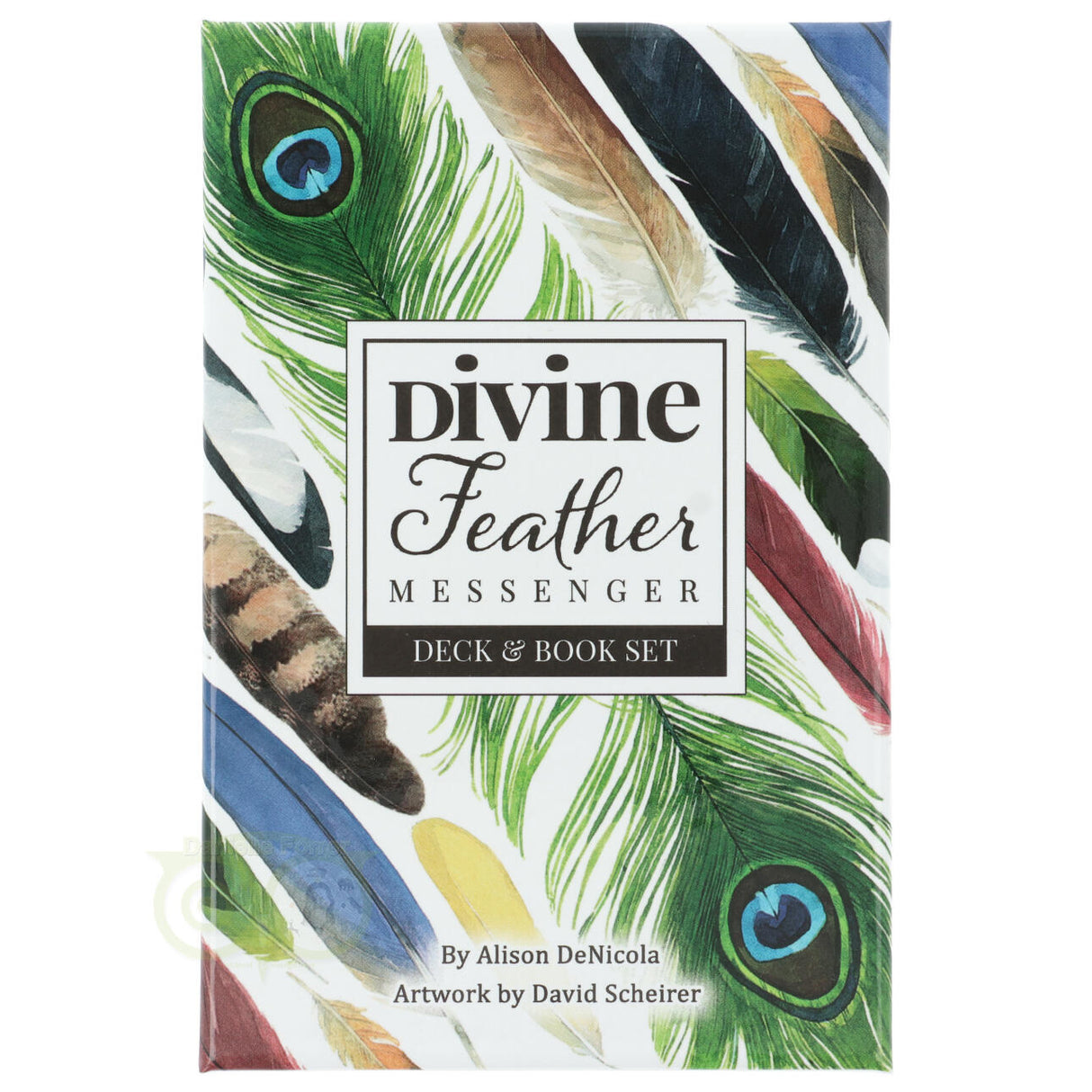 Divine Feather Messenger - Alison Denicola
