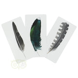 Divine Feather Messenger - Alison Denicola