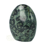 Eldariet ( Jaspis kambaba ) Sculptuur Nr 8