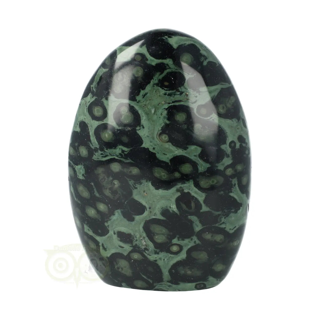 Eldariet ( Jaspis kambaba ) Sculptuur Nr 9