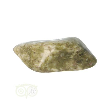 Epidote Tumbled Stone No. 17