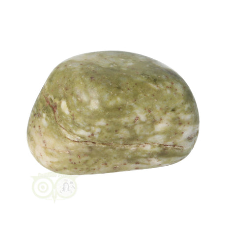 Epidote Tumbled Stone No. 20