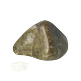 Epidote Tumbled Stone No. 23