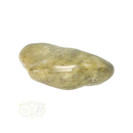 Epidote Tumbled Stone No. 28